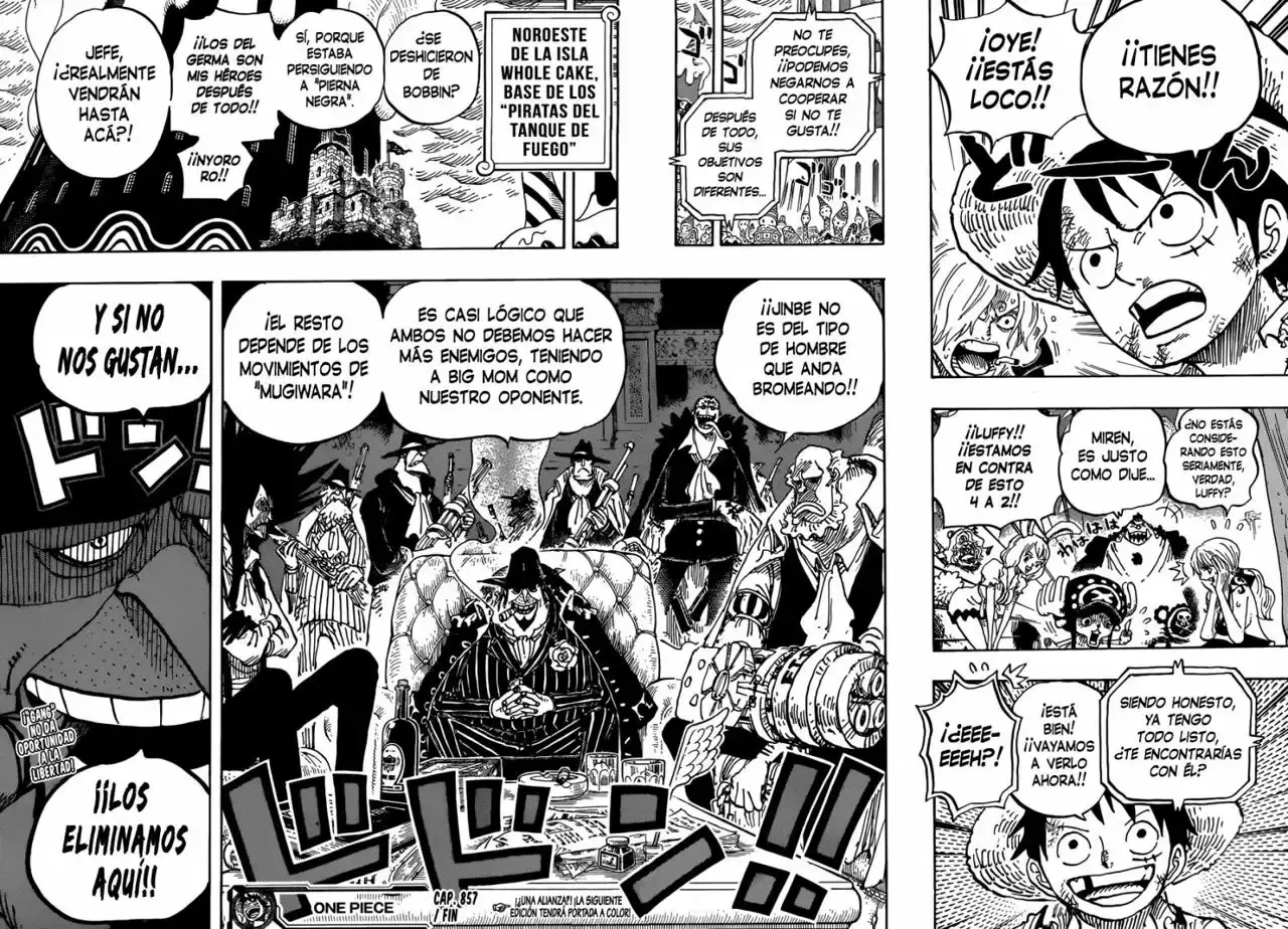 One Piece capítulo 857 página 17