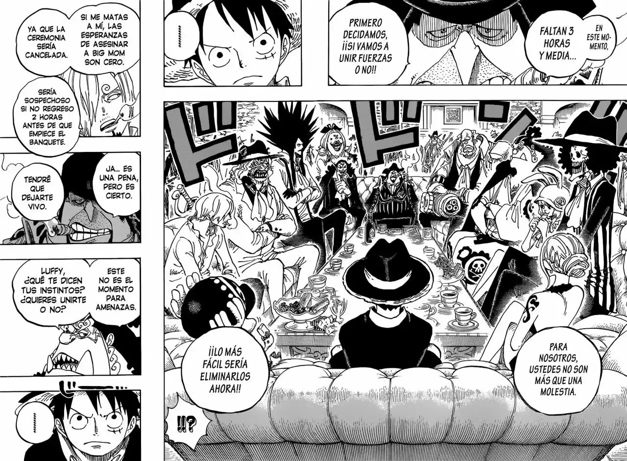 One Piece capítulo 858 página 15