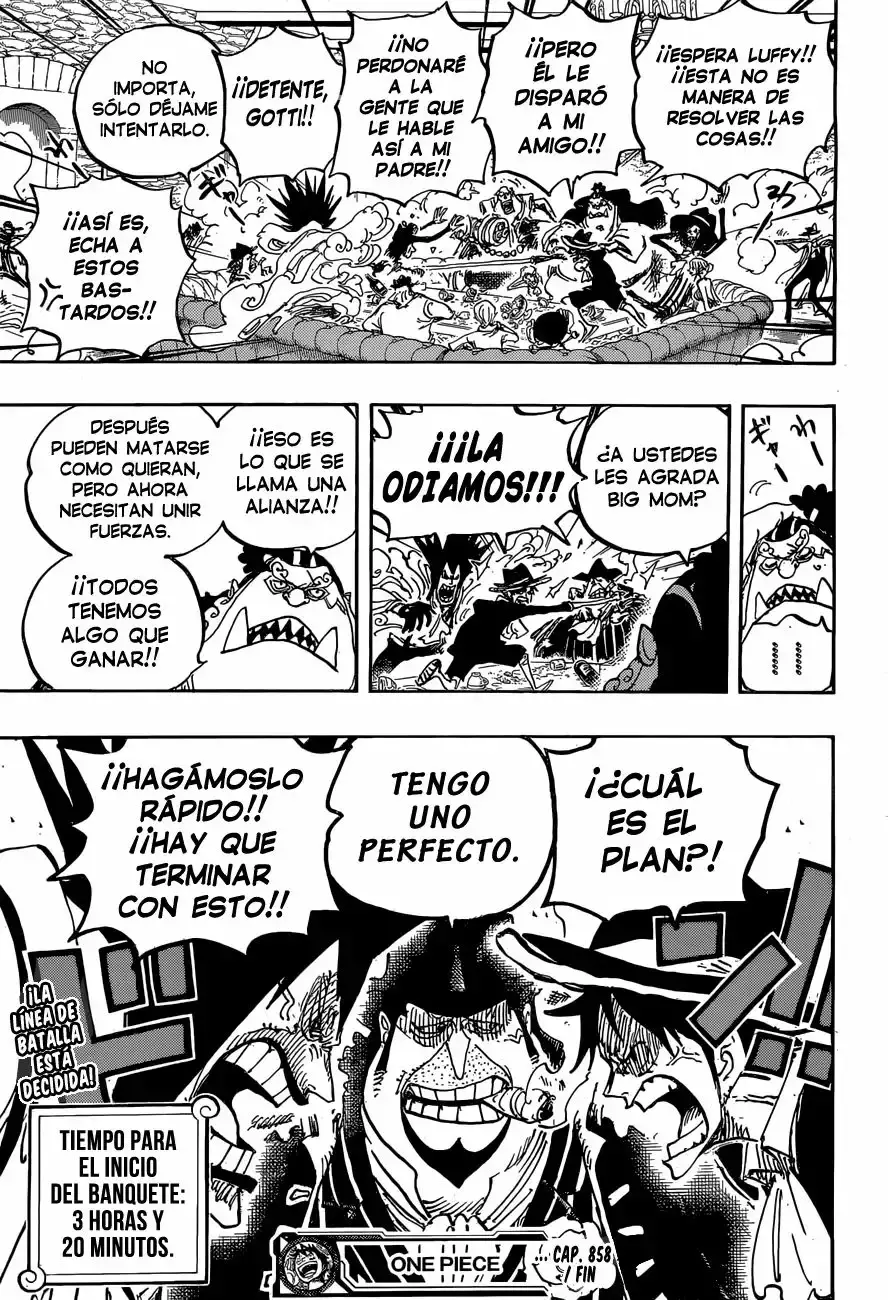 One Piece capítulo 858 página 19