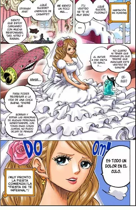 One Piece capítulo 859 página 16