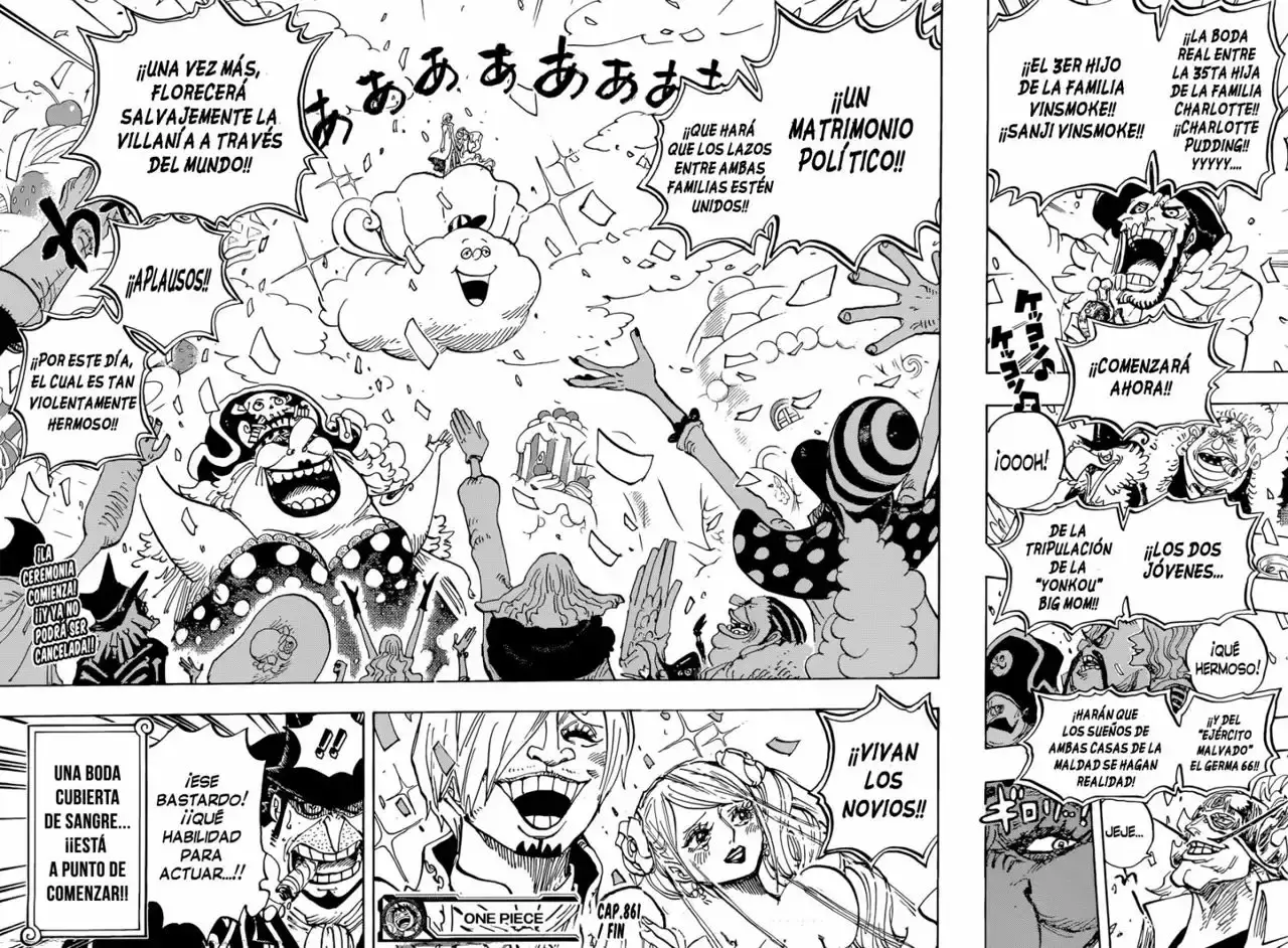 One Piece capítulo 861 página 16