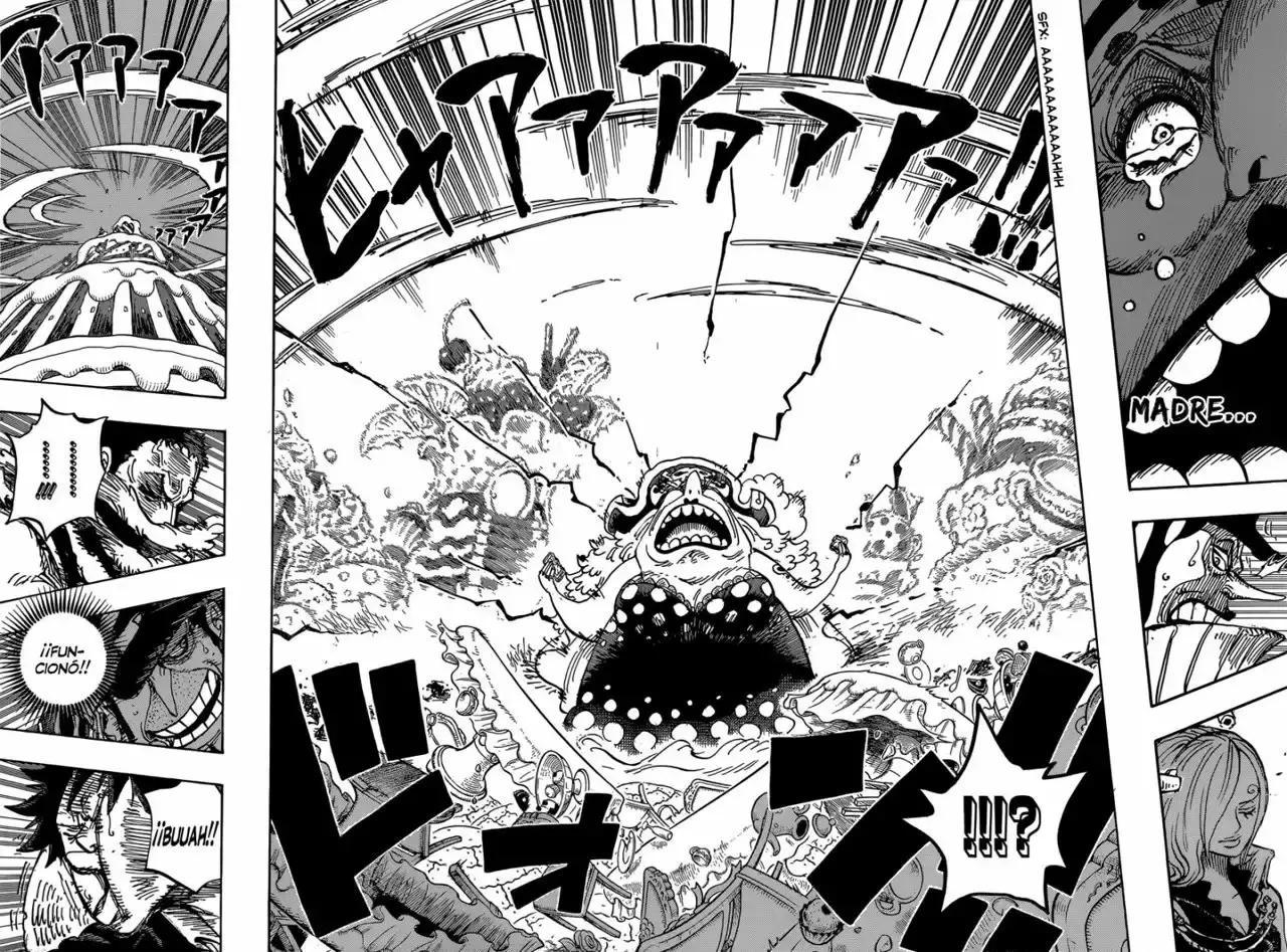 One Piece capítulo 865 página 11