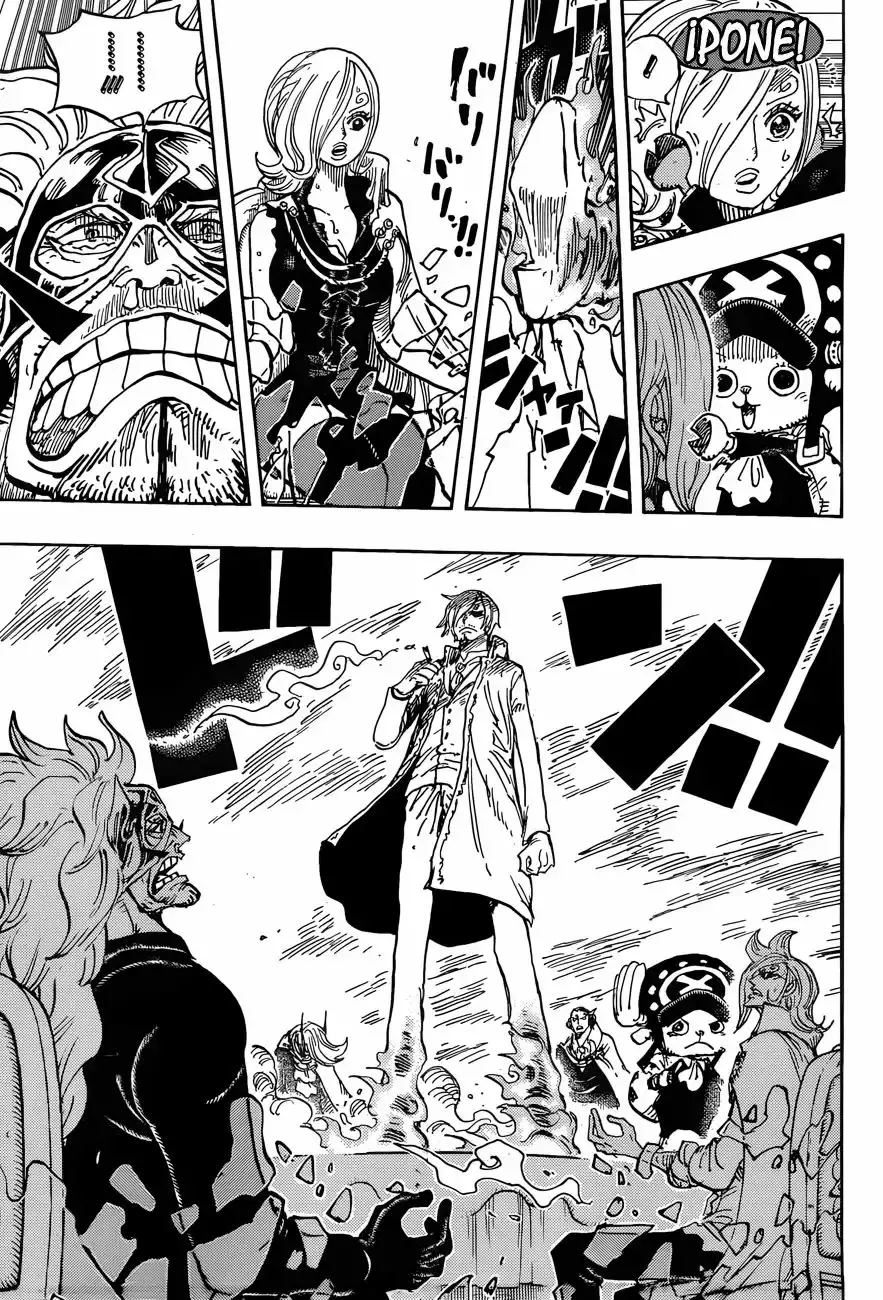 One Piece capítulo 865 página 15