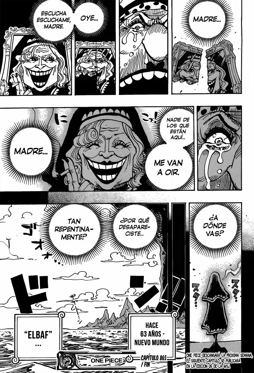One Piece capítulo 865 página 17