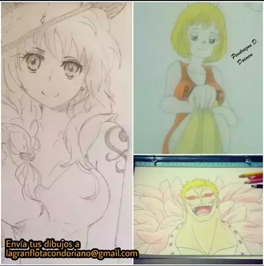 One Piece capítulo 866 página 18