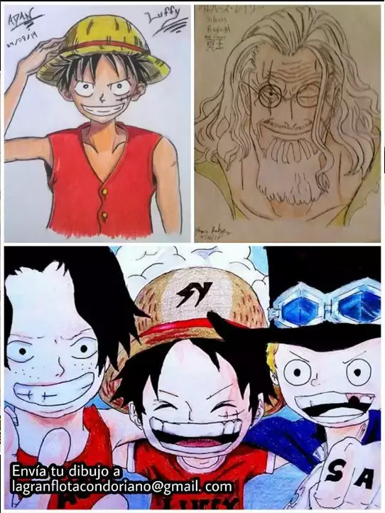 One Piece capítulo 866 página 20