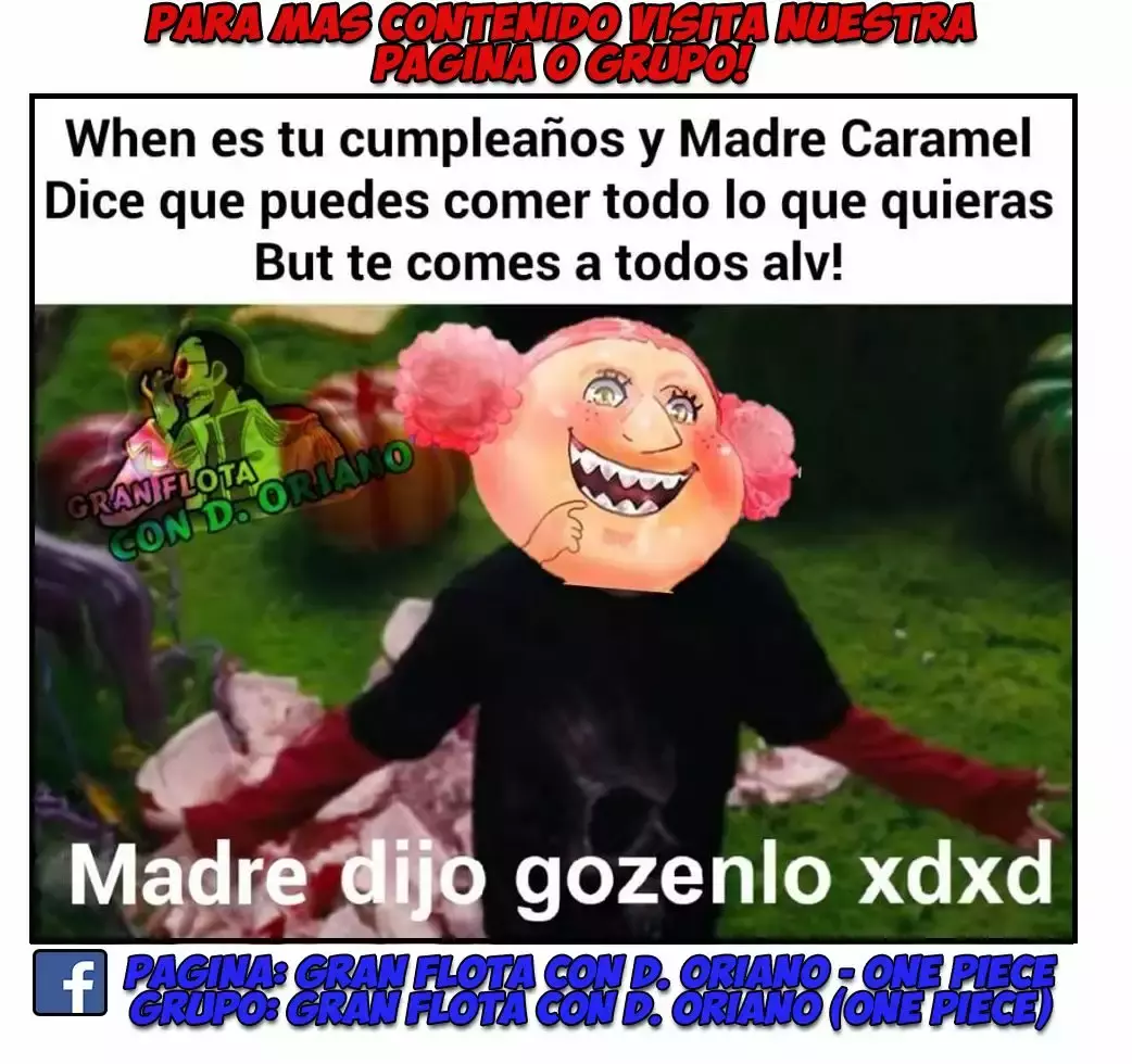 One Piece capítulo 868 página 16