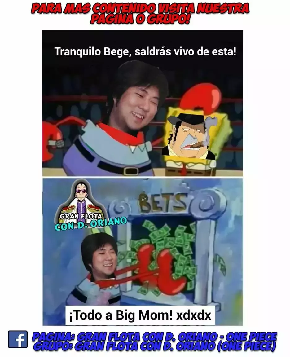 One Piece capítulo 869 página 17