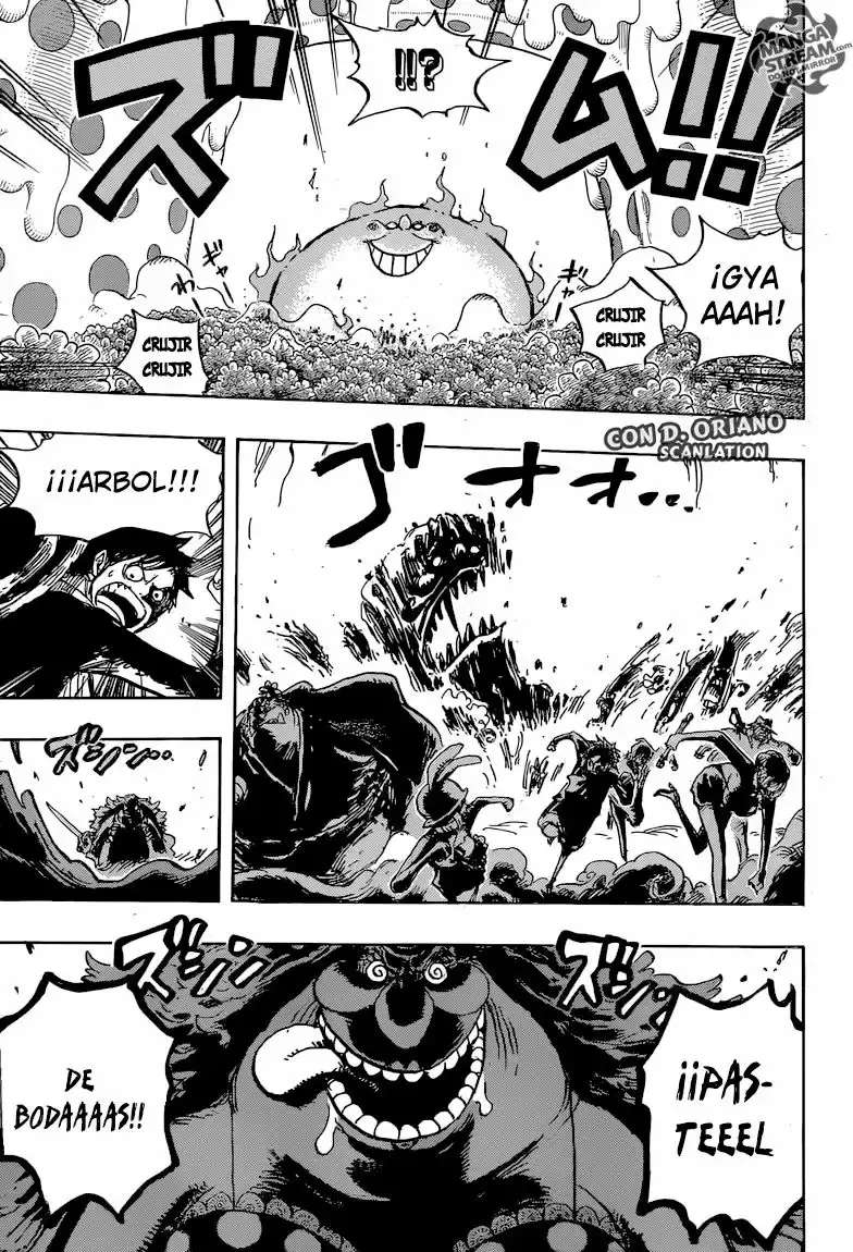 One Piece capítulo 874 página 14