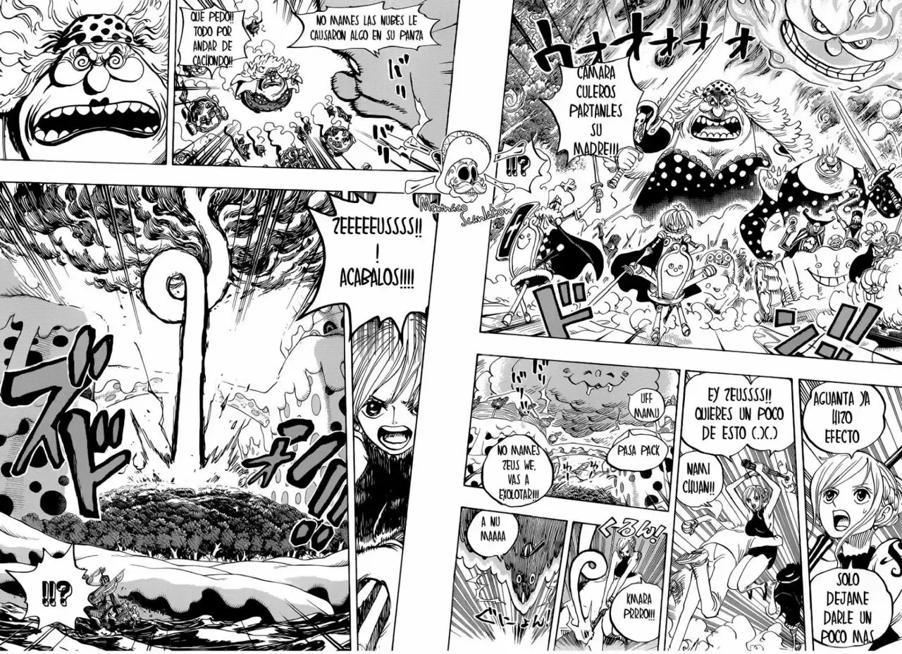 One Piece capítulo 875 página 11