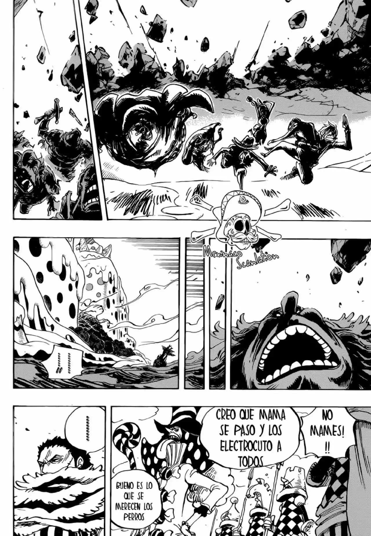 One Piece capítulo 875 página 12