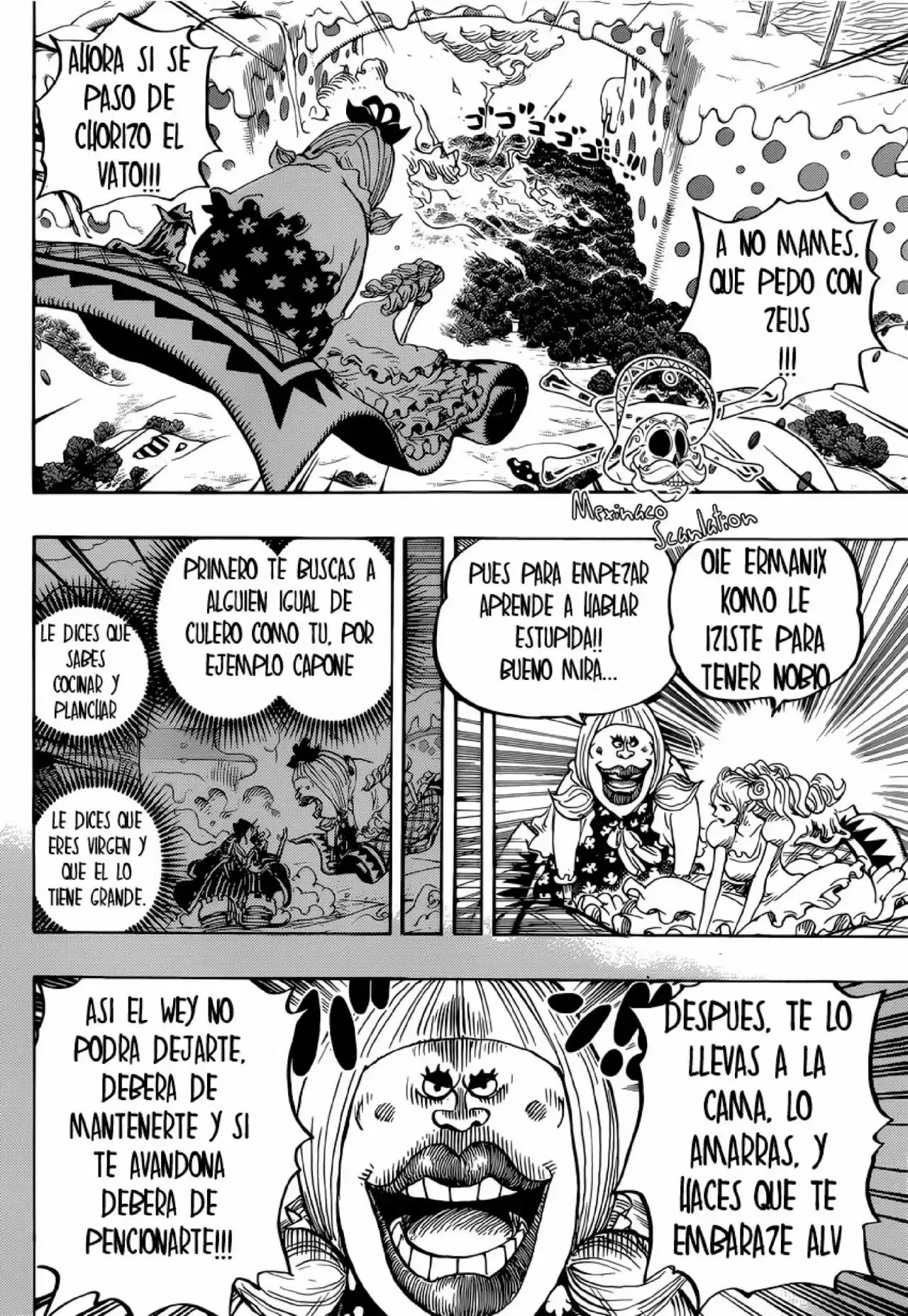One Piece capítulo 875 página 13