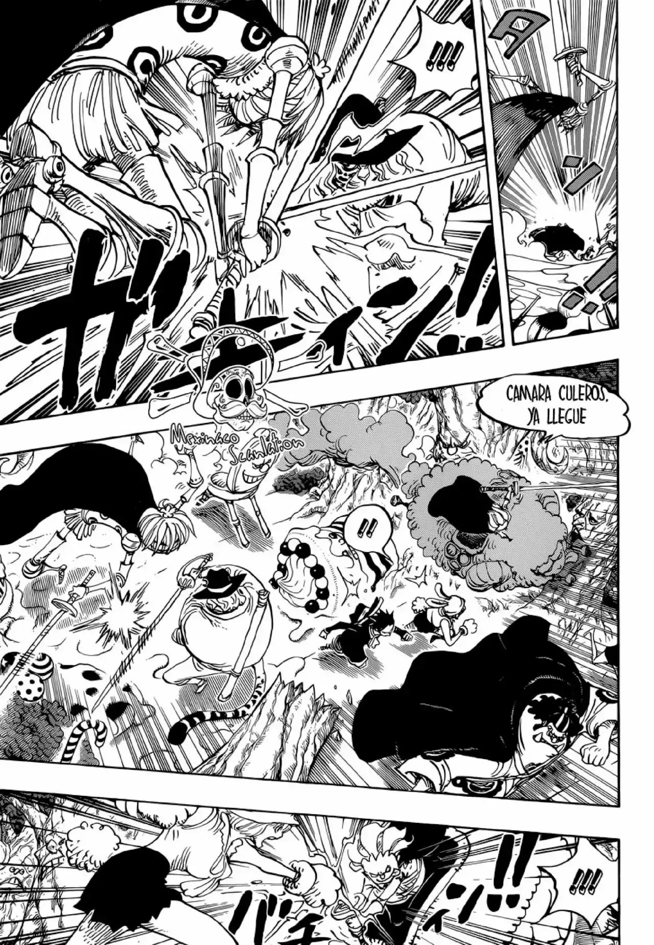 One Piece capítulo 875 página 8