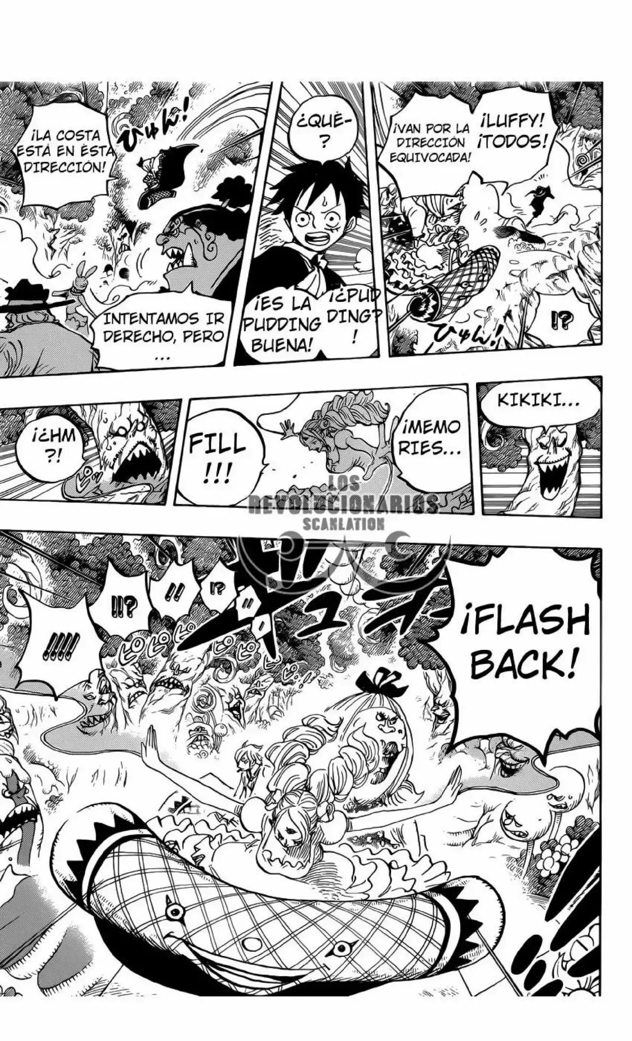 One Piece capítulo 876 página 13