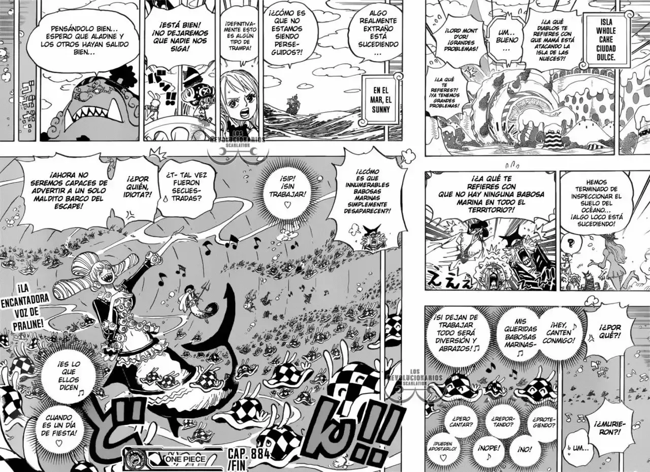 One Piece capítulo 884 página 17