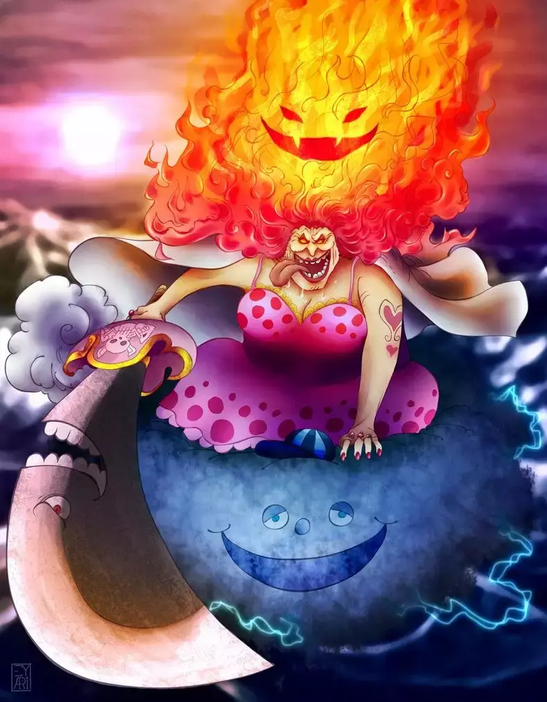 One Piece capítulo 889 página 18