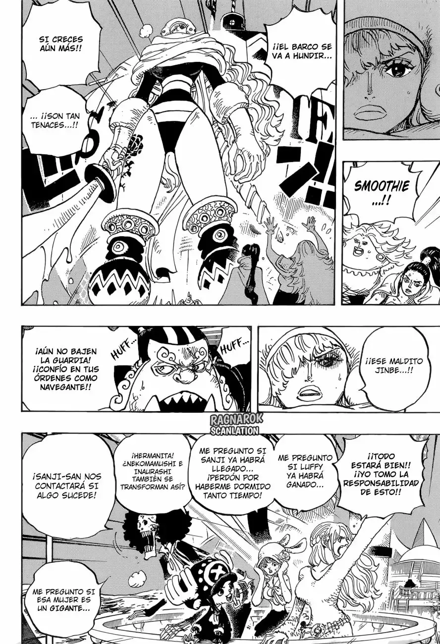 One Piece capítulo 894 página 13
