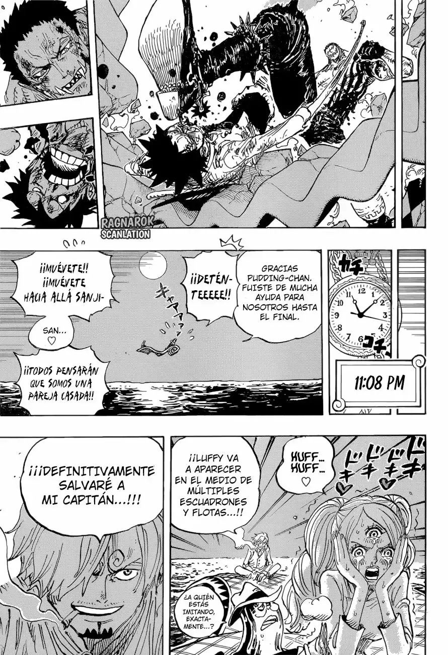 One Piece capítulo 894 página 14