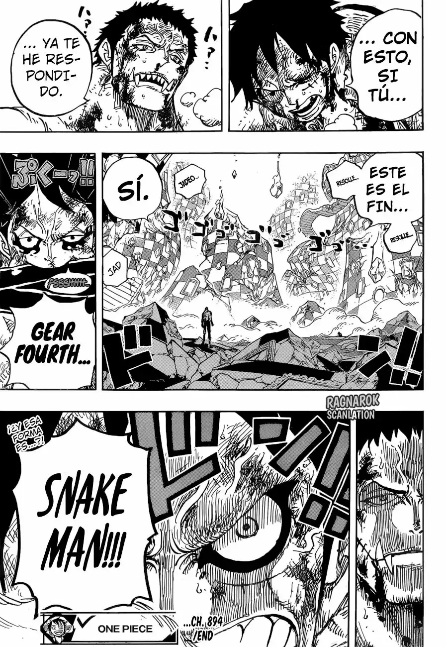 One Piece capítulo 894 página 17