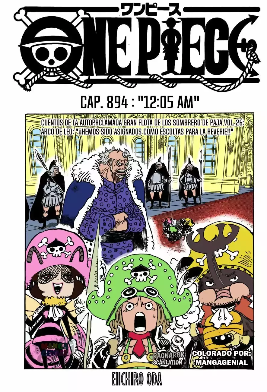 One Piece capítulo 894 página 19