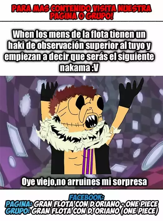 One Piece capítulo 894 página 20