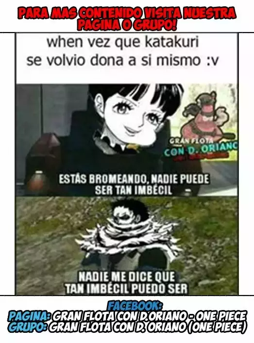 One Piece capítulo 894 página 22