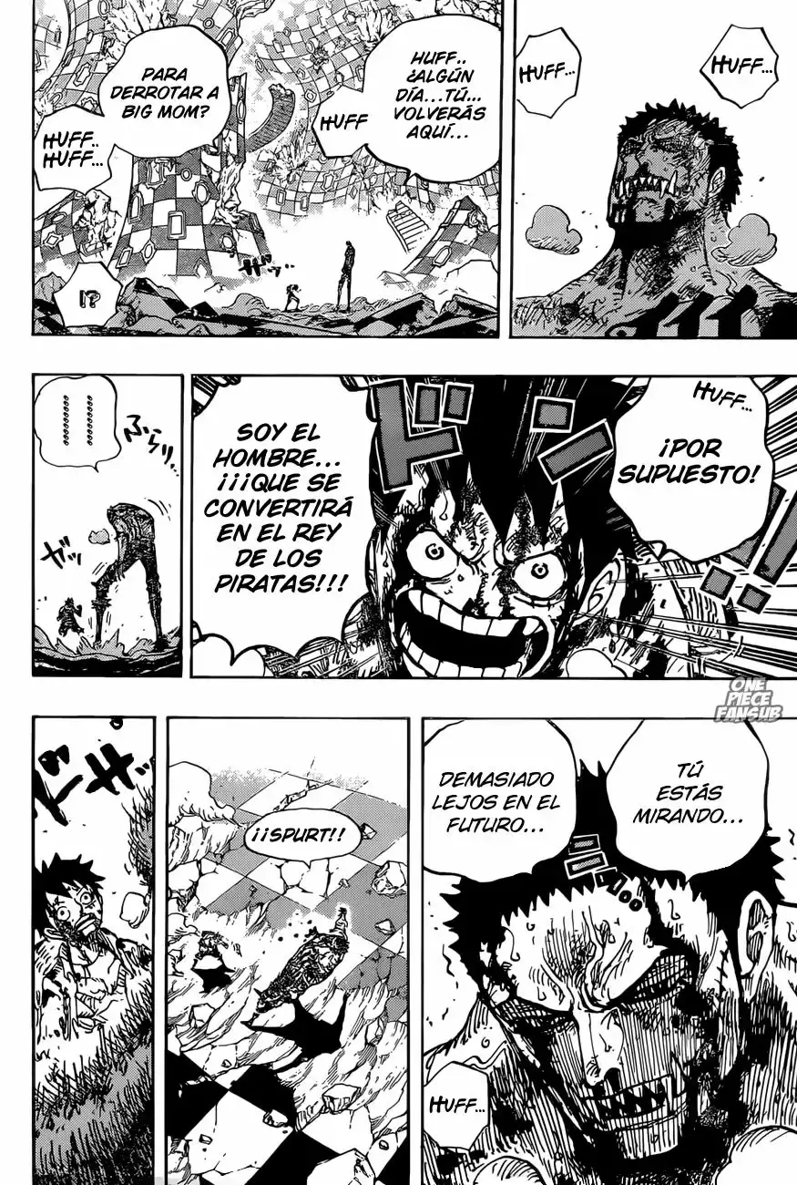 One Piece capítulo 896 página 14