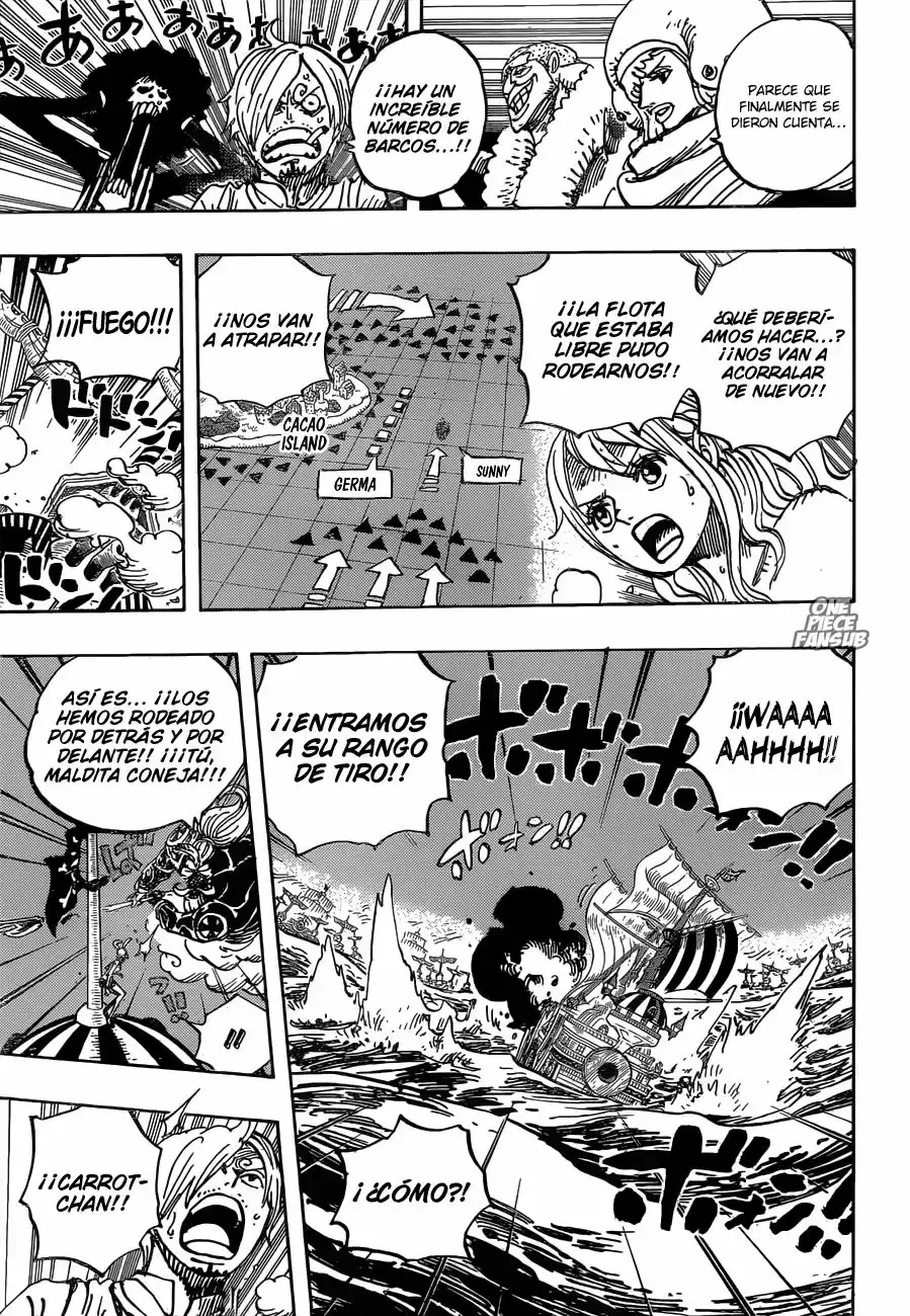 One Piece capítulo 899 página 14