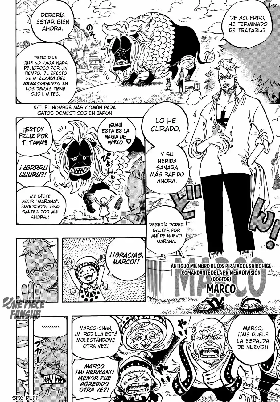 One Piece capítulo 909 página 5