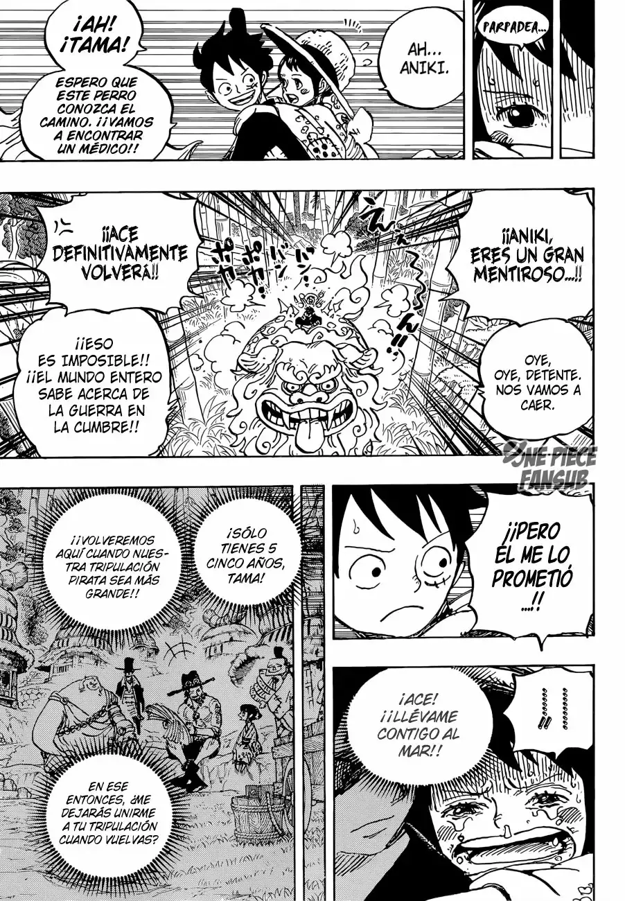 One Piece capítulo 912 página 11