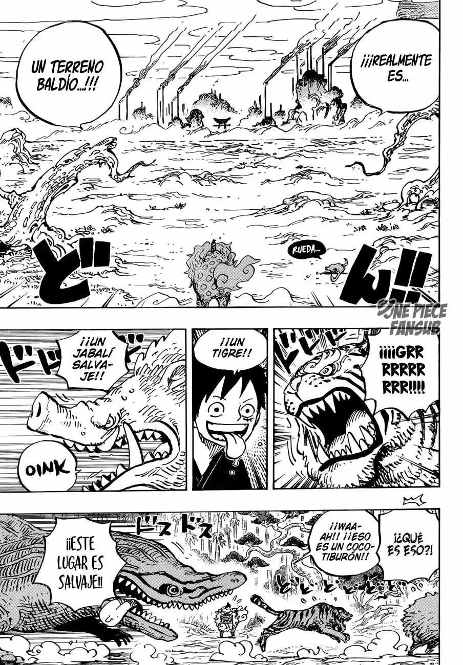 One Piece capítulo 912 página 13