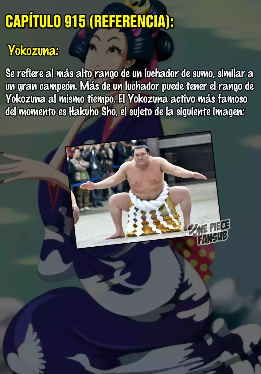 One Piece capítulo 915 página 17
