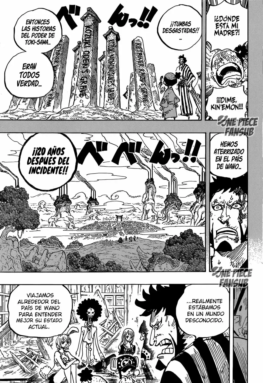 One Piece capítulo 920 página 11
