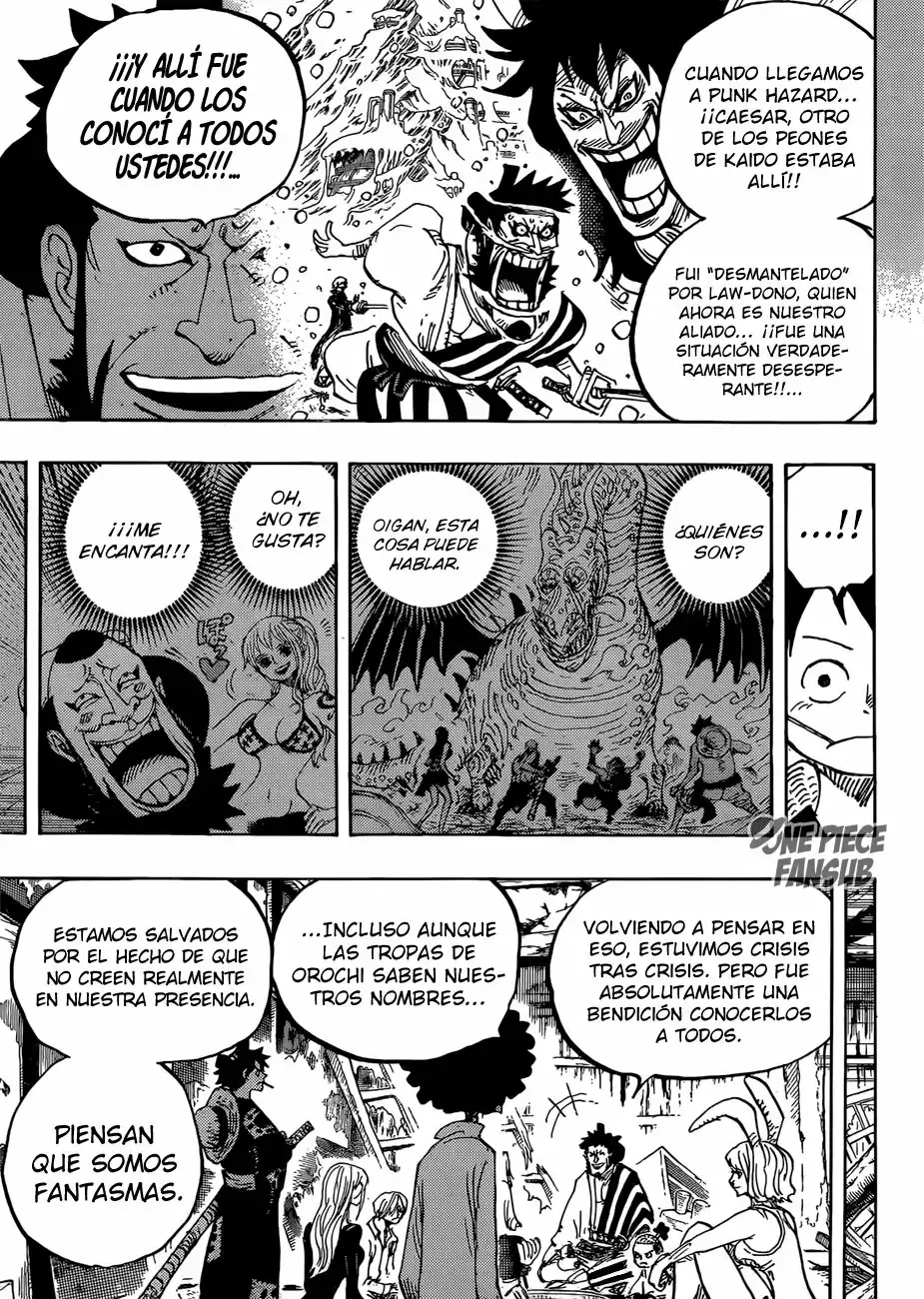 One Piece capítulo 920 página 15