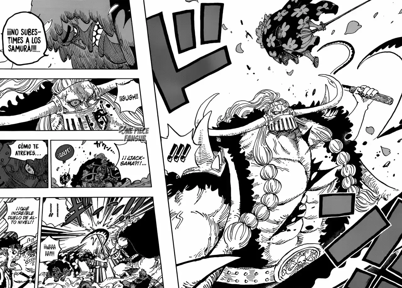 One Piece capítulo 921 página 15