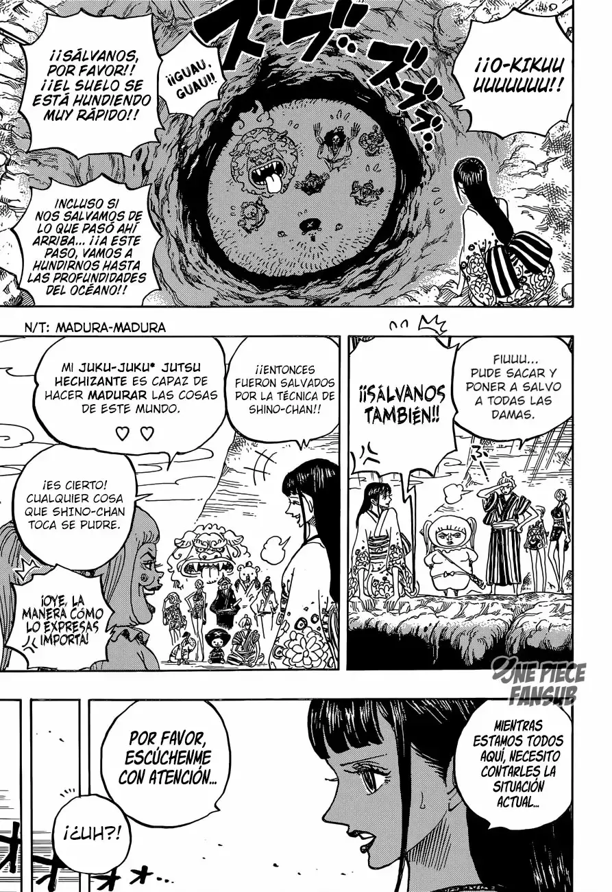 One Piece capítulo 924 página 10