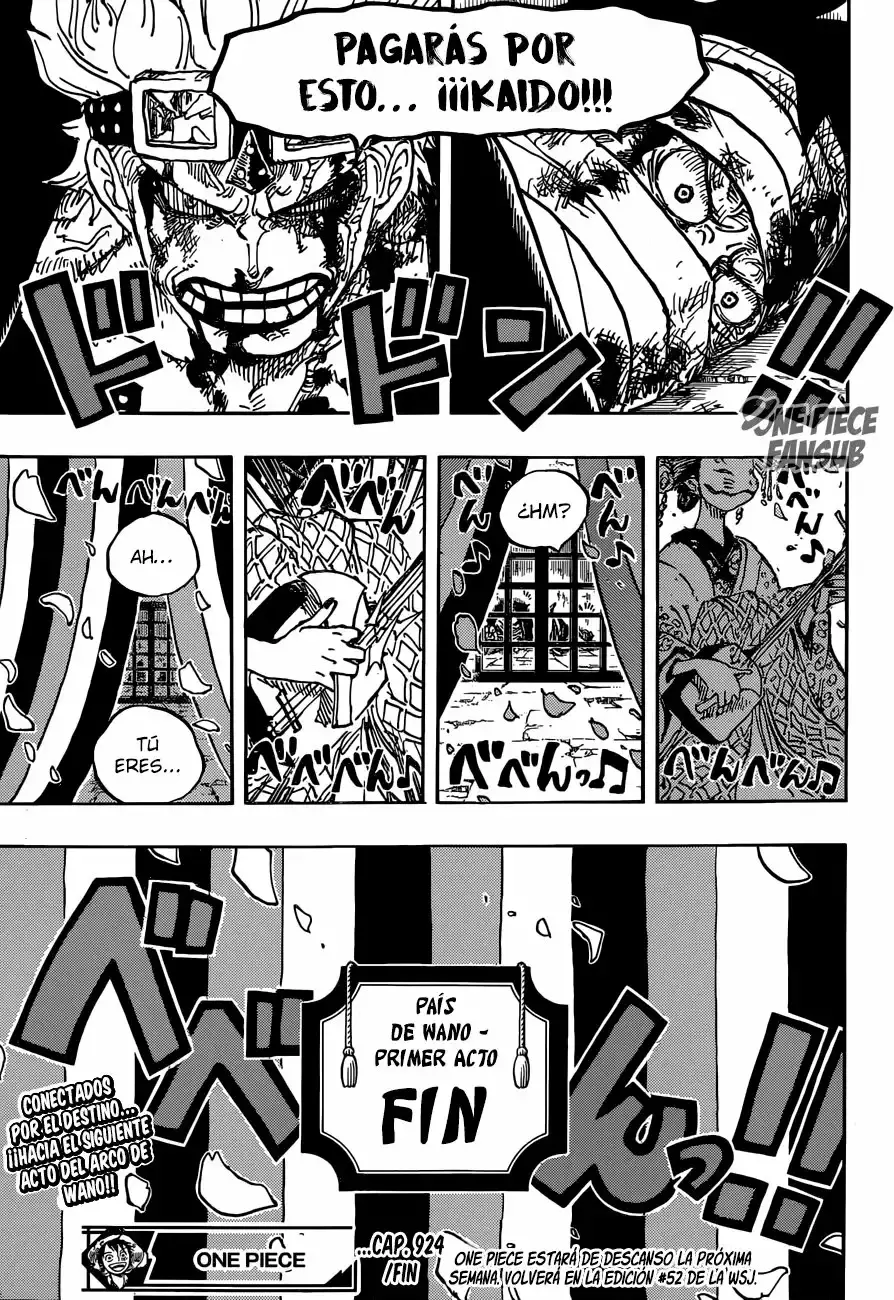 One Piece capítulo 924 página 16