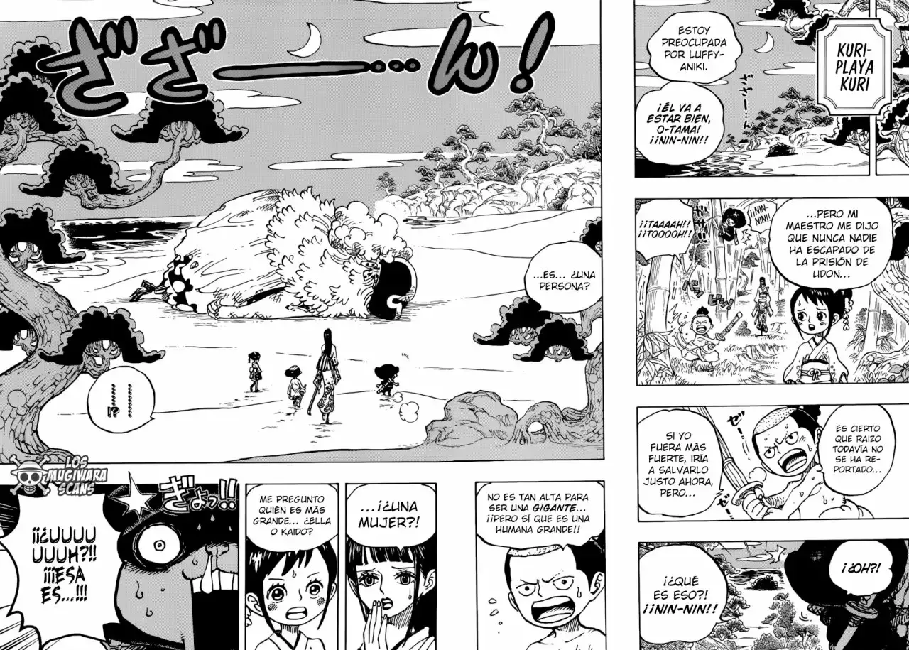 One Piece capítulo 931 página 14
