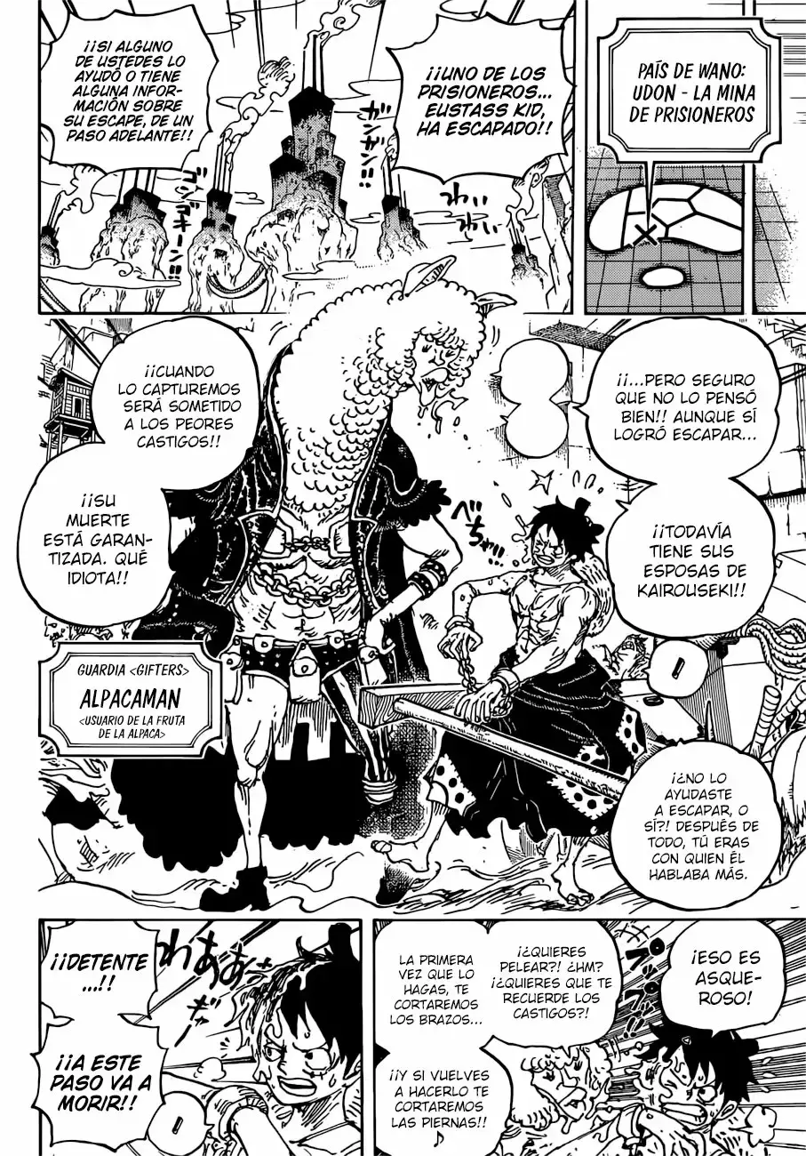 One Piece capítulo 934 página 13