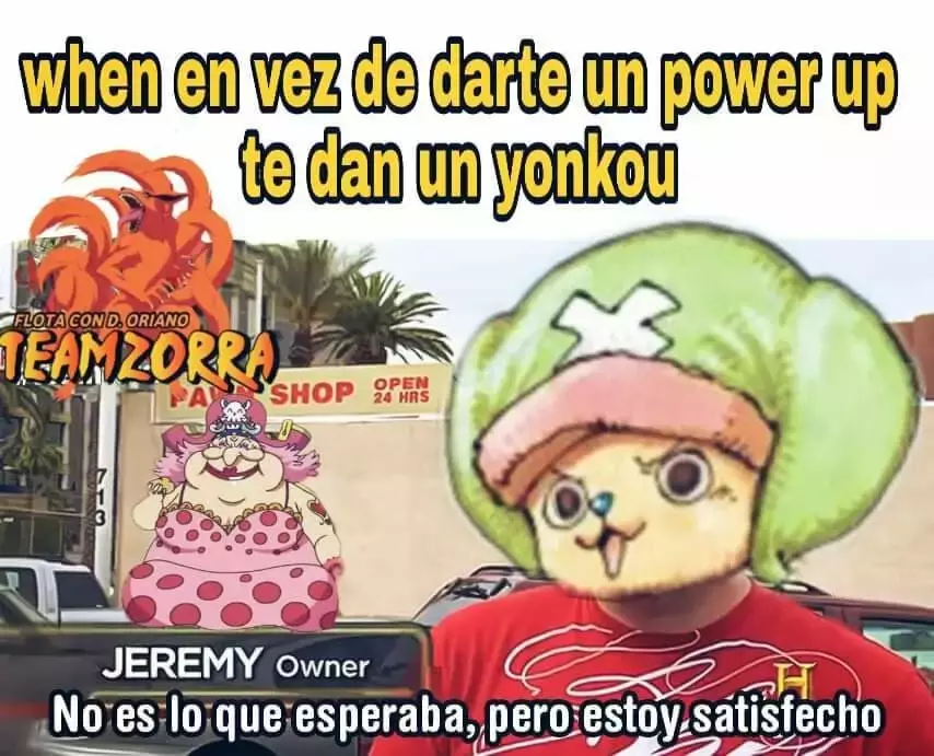 One Piece capítulo 934 página 17