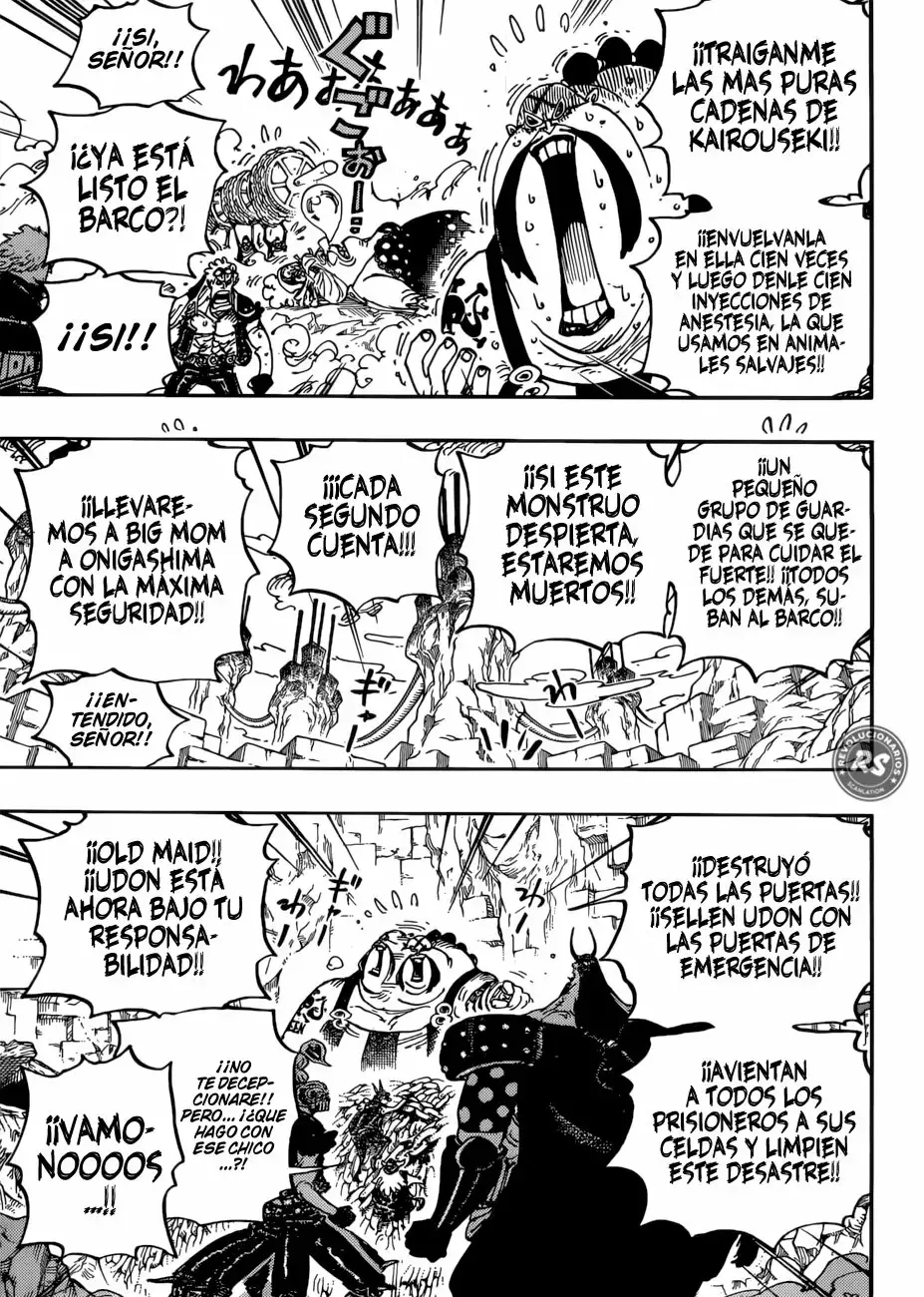 One Piece capítulo 947 página 15