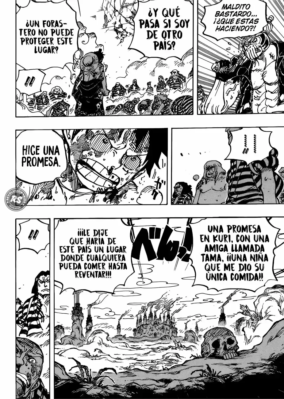 One Piece capítulo 949 página 14