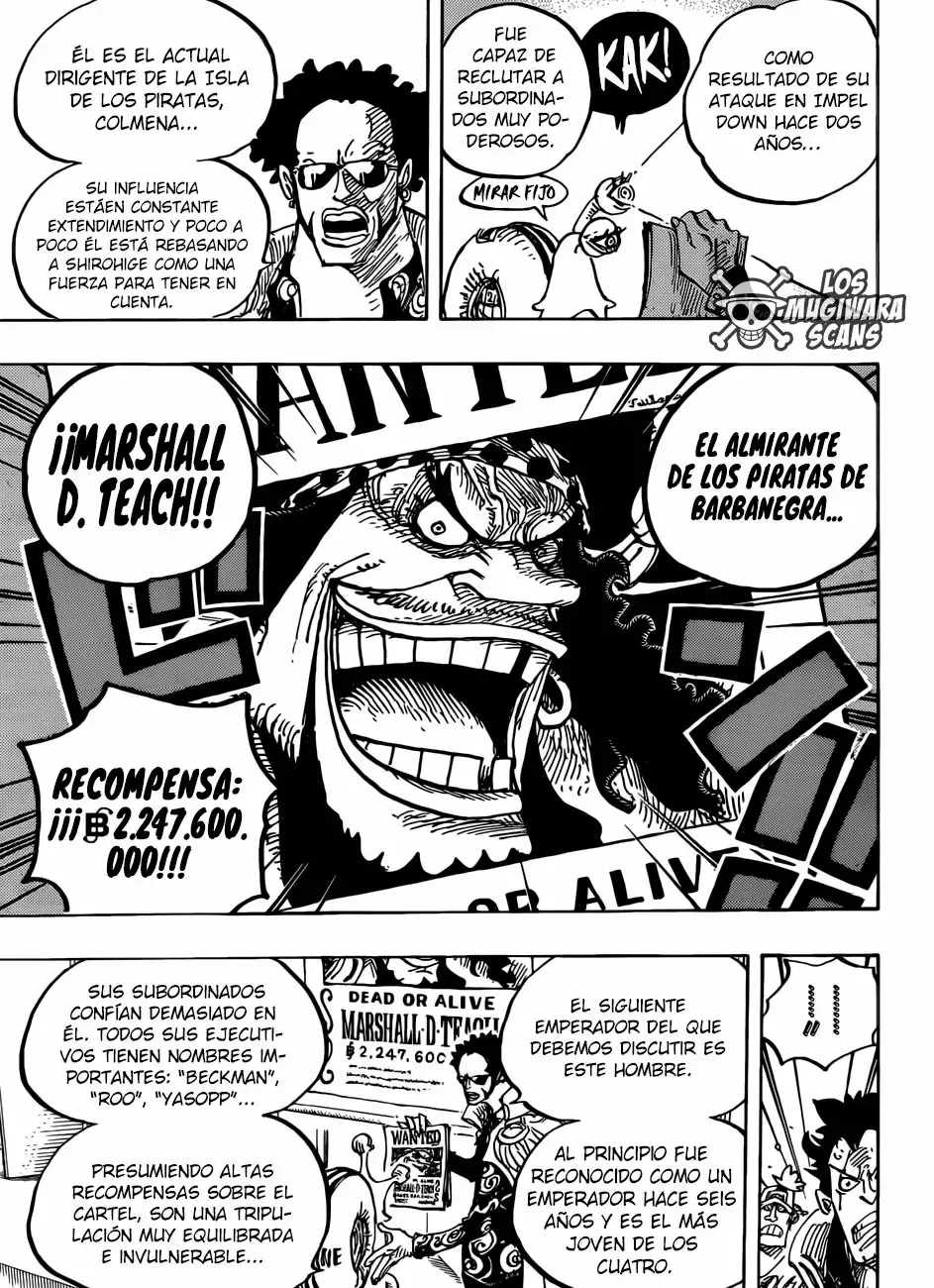 One Piece capítulo 957 página 14