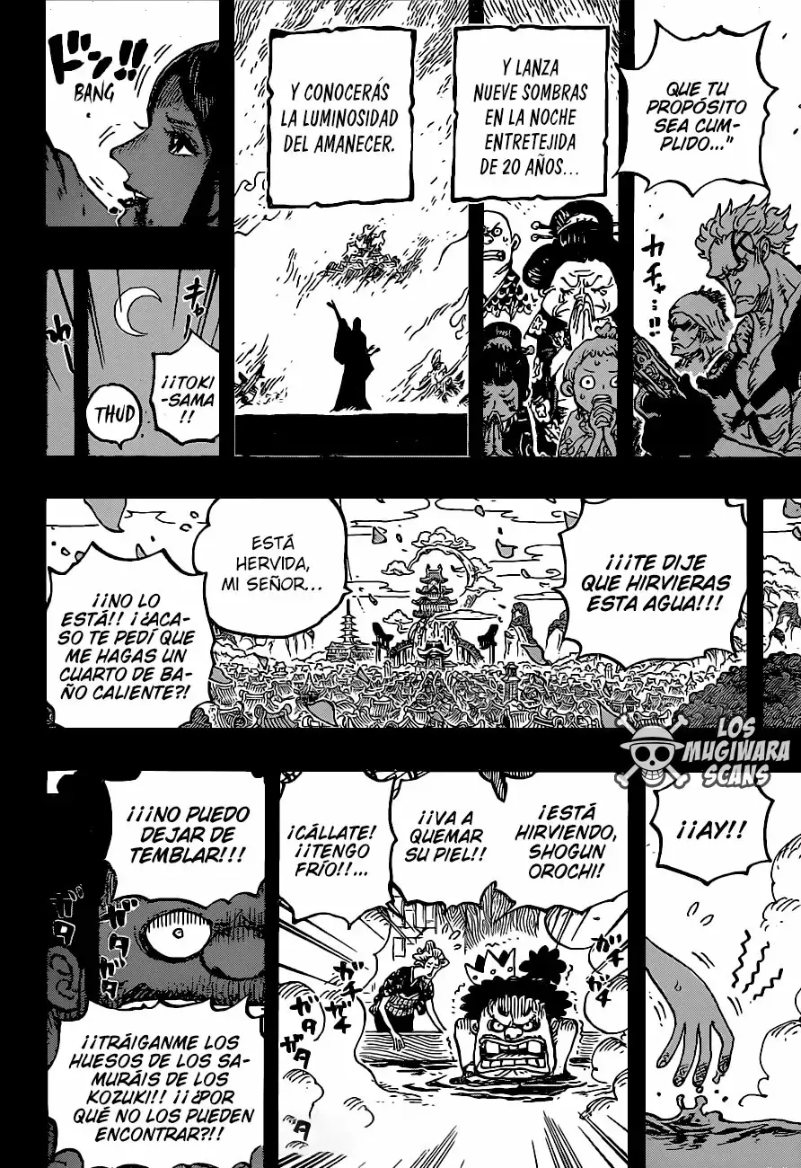 One Piece capítulo 973 página 13