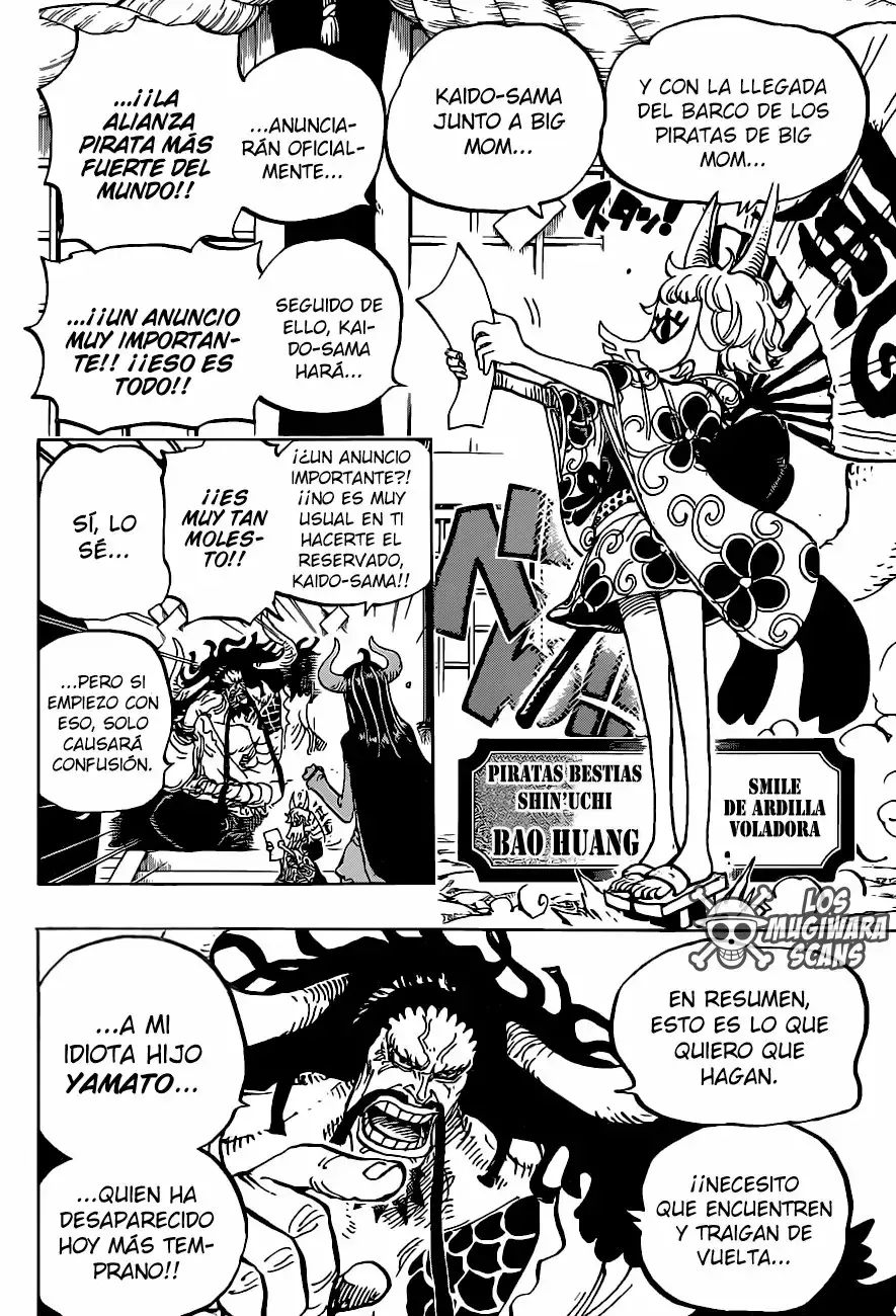 One Piece capítulo 979.5 página 15