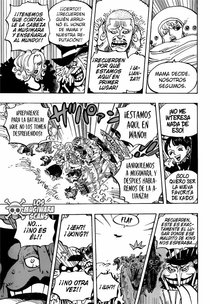 One Piece capítulo 981 página 18