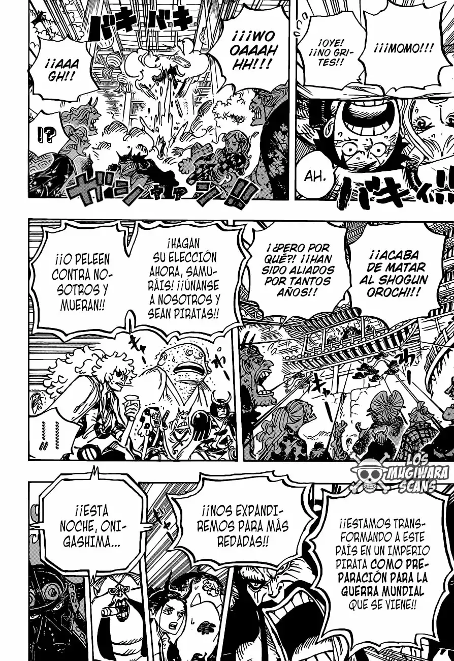 One Piece capítulo 985.5 página 17