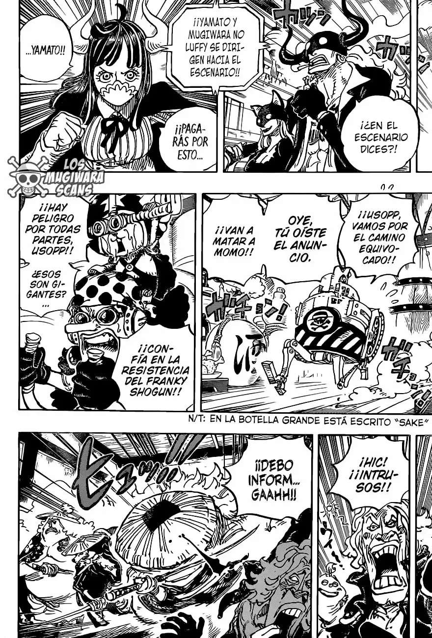 One Piece capítulo 986.5 página 10