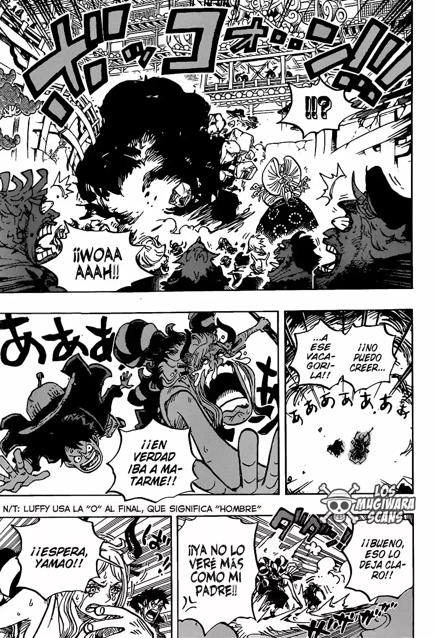 One Piece capítulo 986.5 página 13