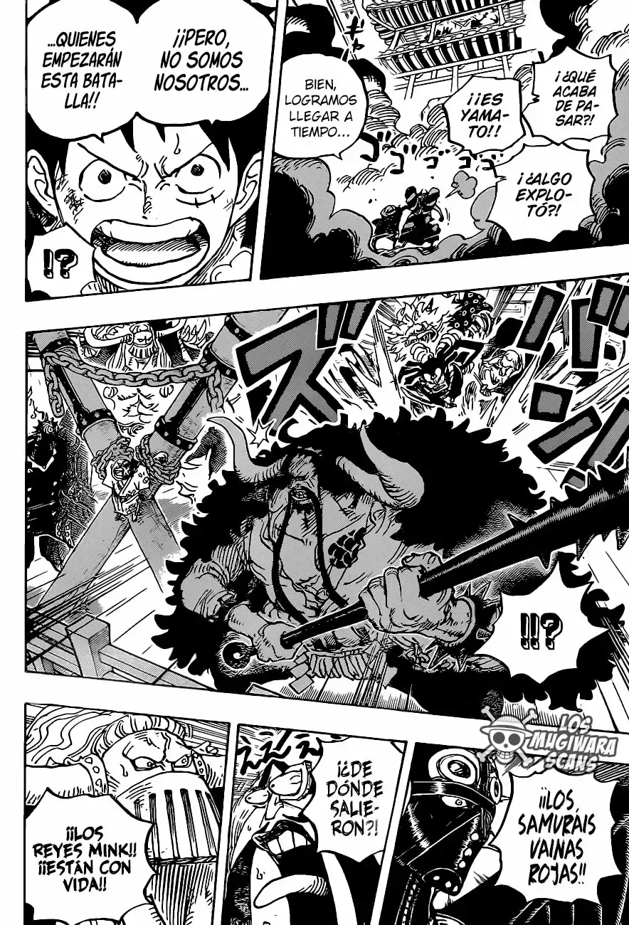 One Piece capítulo 986.5 página 14